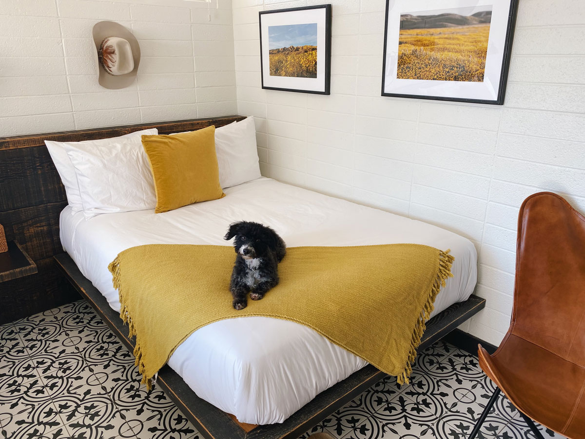 Cuyama Buckhorn My dog Riggs approves — pets are welcome with a $30 fee