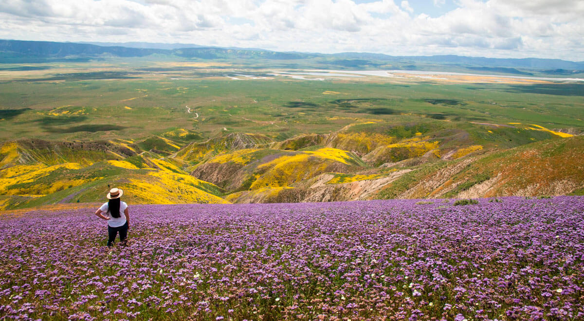 Carrizo Plain National Monument